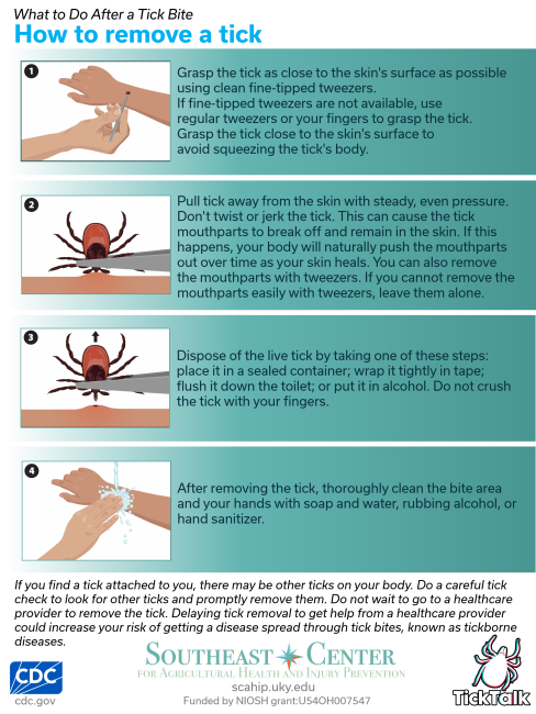 How to remove a tick